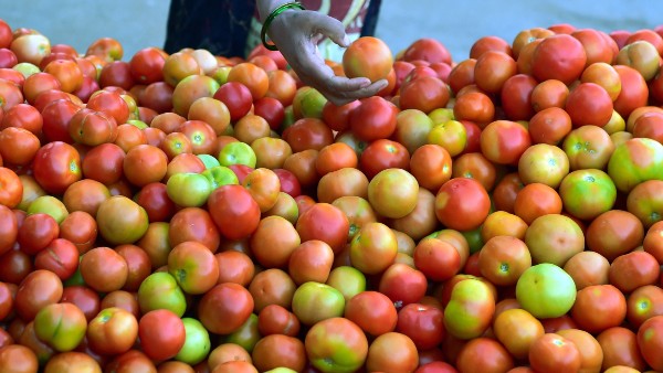 কী বলছে সরকারি তথ্য ?
