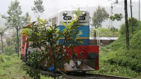 দায়িত্ব জিআৎপির মহিলা কনস্টেবলের
