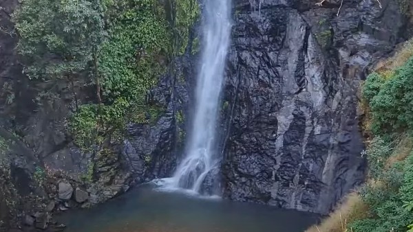 নেত্রাবলি বন্যপ্রাণী অভয়ারণ্য, গোয়া