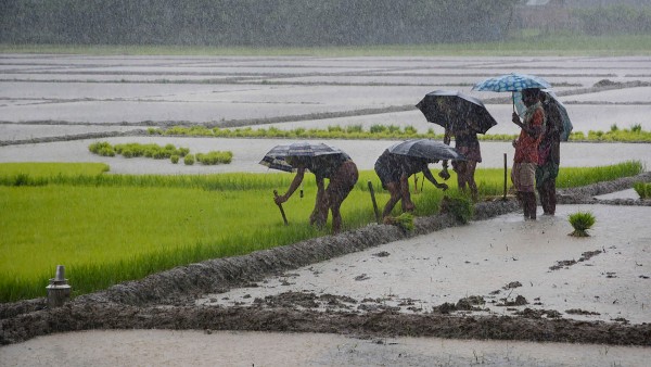 সম্ভাব্য প্রভাব
