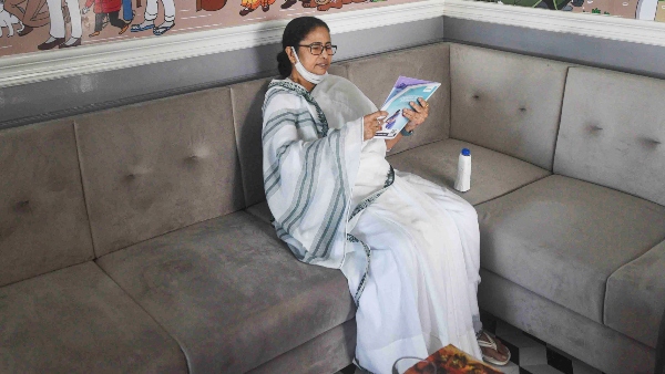 চা-বাগােন পর্যটন