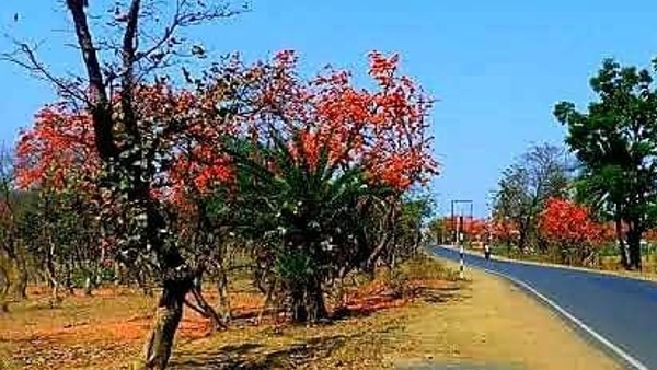 থাকে বানজারা সম্প্রদায়ের মতো, রেইকি করেছিল