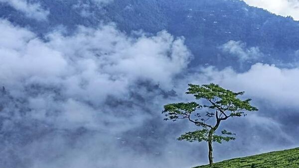 এই ঘটনাই ঘটেছিল?