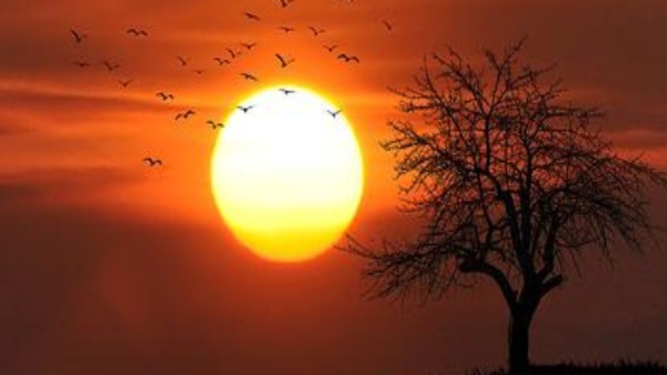 মিথুন রাশি