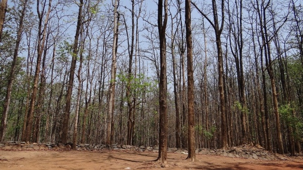 মনোরম পরিবেশ