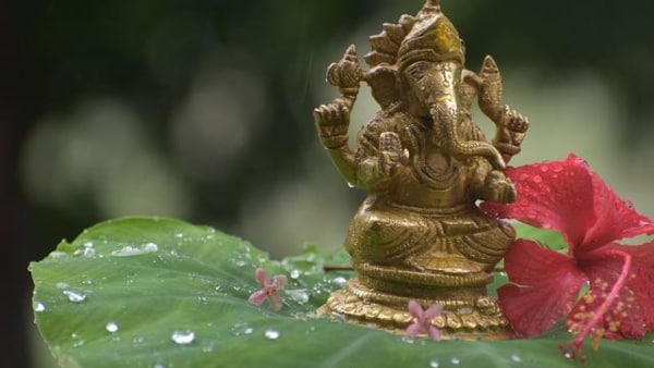 হলুদ