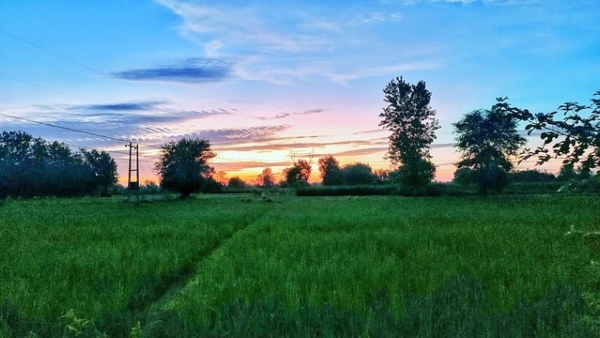 কৃষিকাজ আবার স্বমহিমায় ফিরে আসে এ গ্রামে