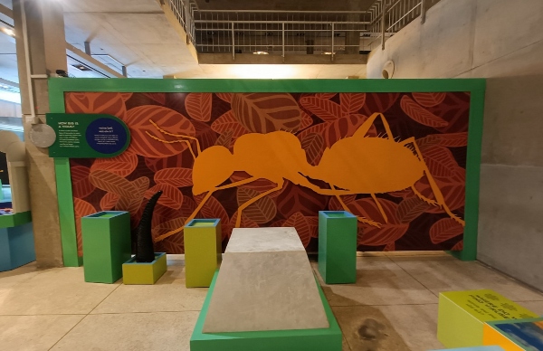 সিএনজি টার্মিনাল