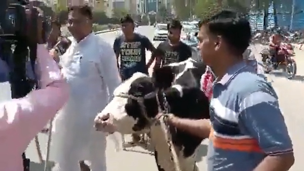 সিএনসিডি'র দল ব্যাপকভাবে ক্ষুব্ধ