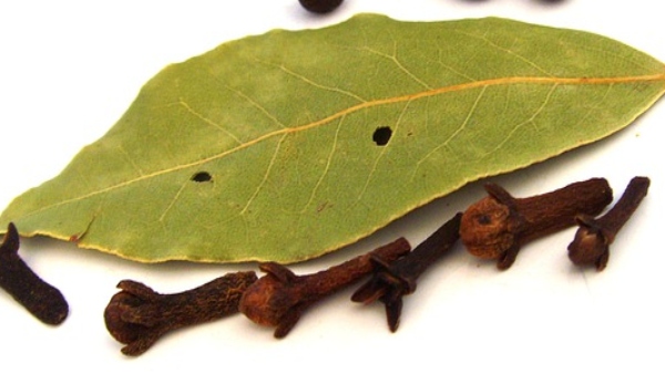 বাড়িতে সর্বদা কলহ হলে