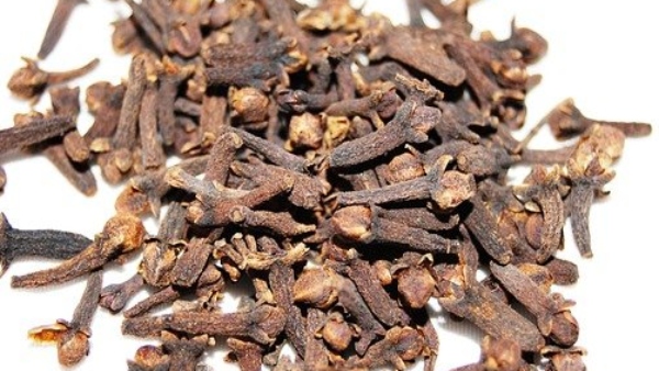 রাহু–কেতুর খারাপ প্রভাব