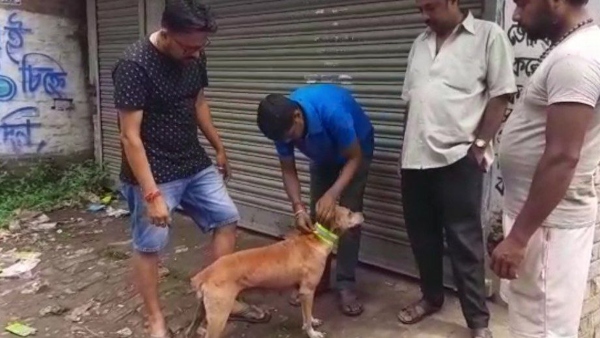 হিংস্রতা বাড়ছে