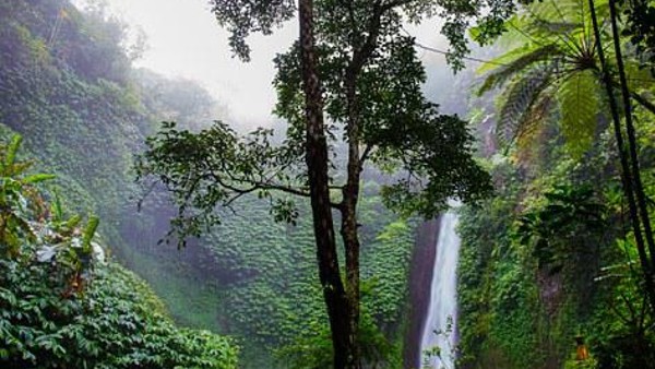 কুঞ্চিকল জলপ্রপাত