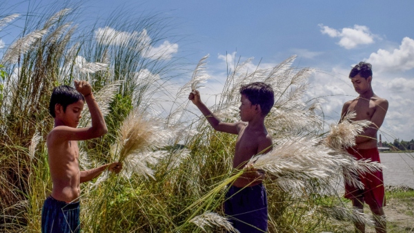 হাওড়ায় কাশফুলকে কাজে লাগিয়ে বালিশ