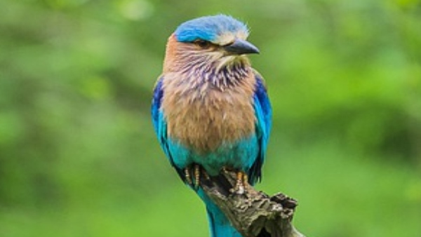 শত্রুর ওপর বিজয়