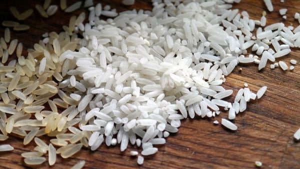 অন্নের দান