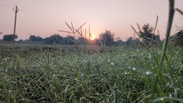 দক্ষিণবঙ্গের আবহাওয়া