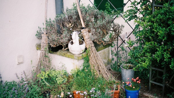 রান্নাঘরে ঝাড়ু রাখবেন না