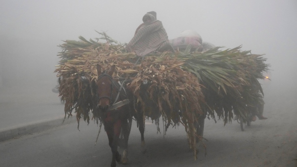 তুষারপাতের পূর্বাভাস