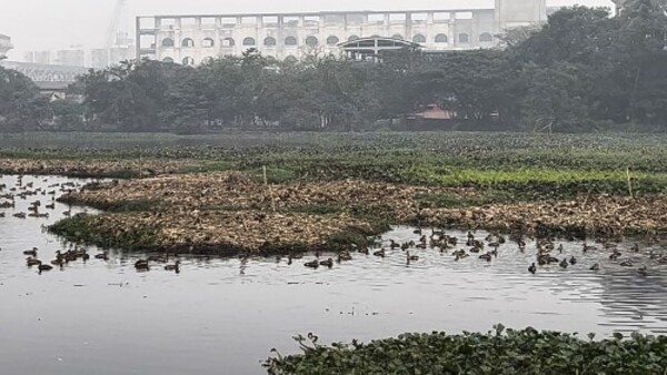 দক্ষিণবঙ্গের আবহাওয়া