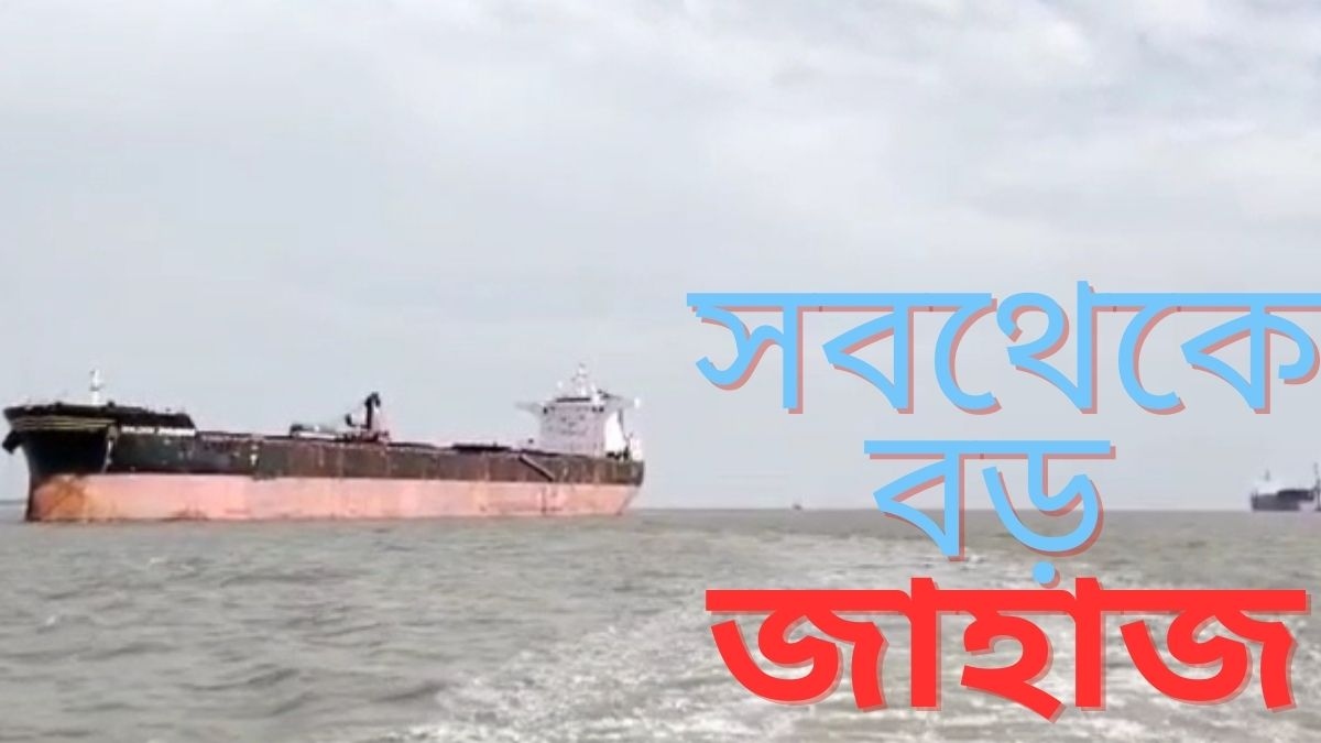 Haldia Port: হলদিয়া বন্দরে হঠাৎ হাজির সবথেকে বড় জাহাজ! দেখুন সেই ...