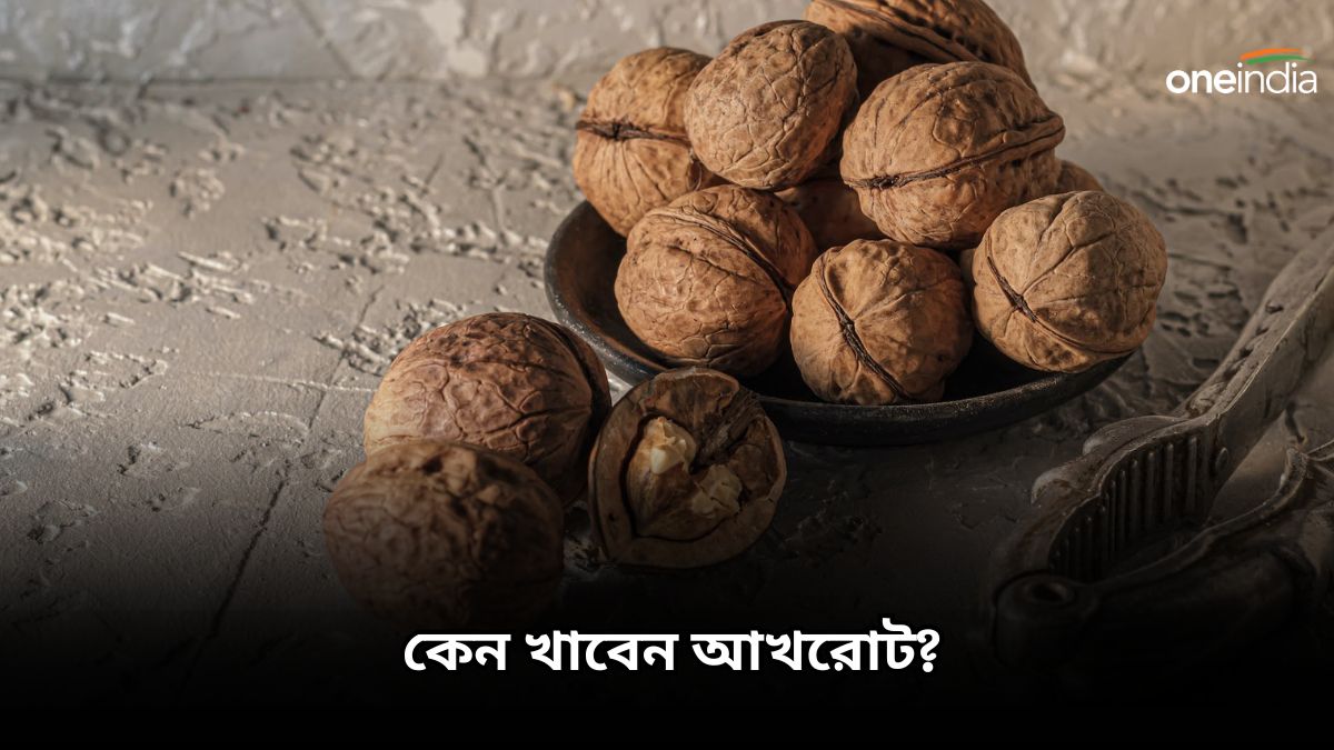 Benefits of walnuts শীতকালে শরীরকে চাঙ্গা রাখতে রোজ ডায়েটে রাখুন