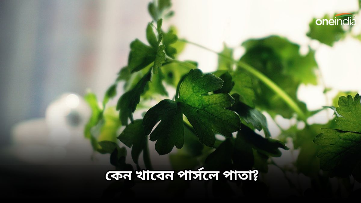 Parsley স্বাদ বাড়াবার জন্য প্রতিটি রান্নায় দিচ্ছেন পার্সলে পাতা