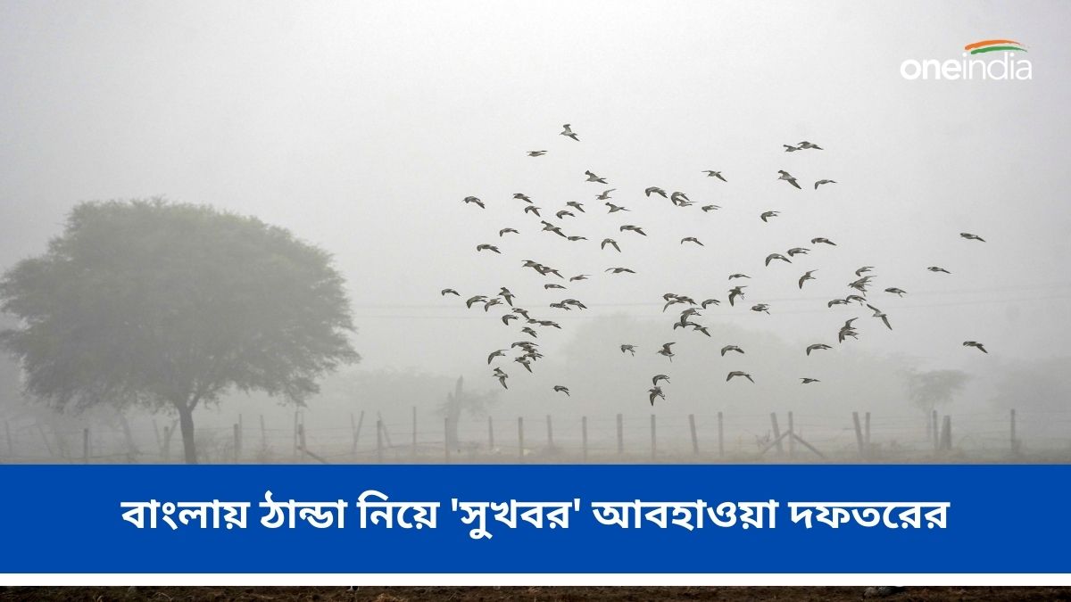 Weather Alert পশ্চিমের জেলাগুলিতে শীতের কামড়! বাংলায় ঠান্ডা নিয়ে