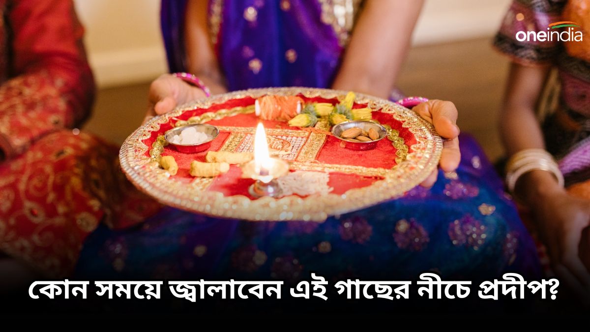 Peepal Tree কোন দিন, কোন সময়ে পিপল গাছের নীচে প্রদীপ জ্বালানো শুভ