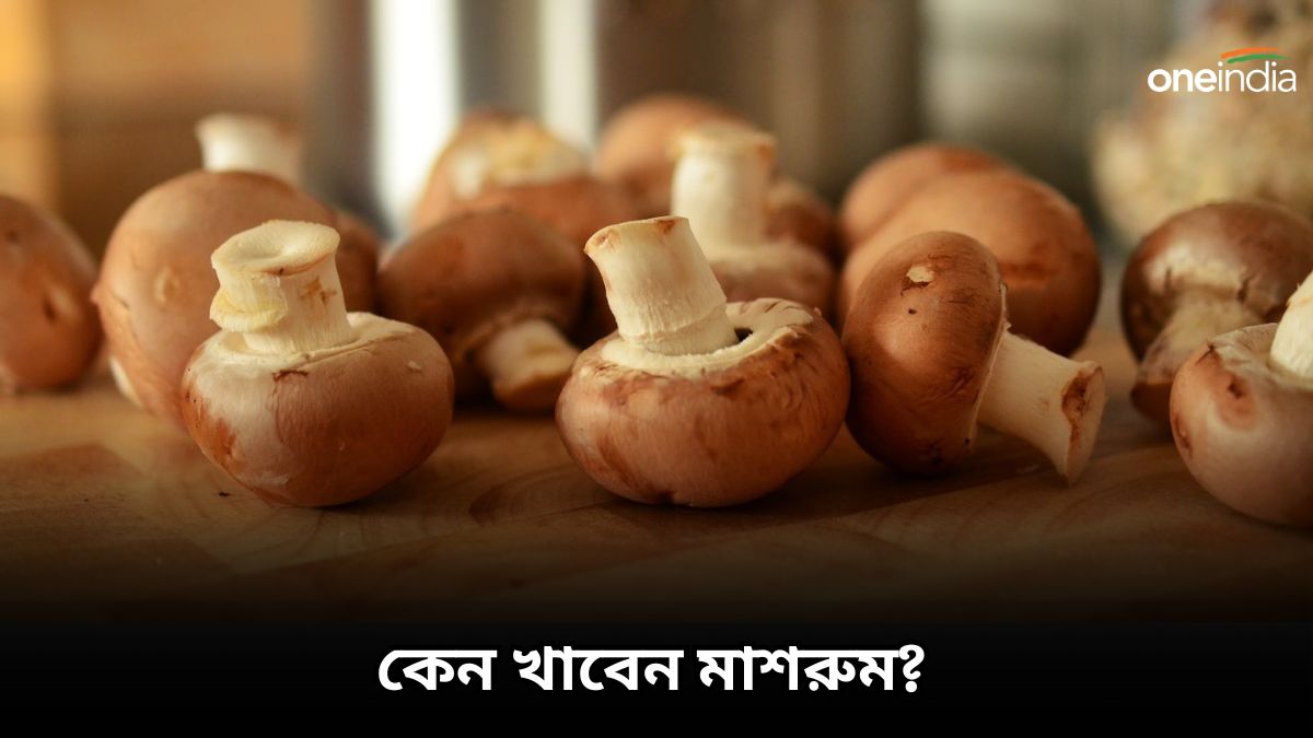 Mushrooms Benefits ব্যাঙের ছাতা ভেবে মুখেই তুলছেন না মাশরুম, ভুল করছেন