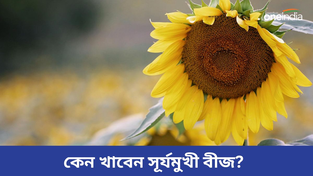 হার্ট অ্যাটাক থেকে থাইরয়েডের ঝুঁকি কমাতে নিয়মিত খান এই বীজ, পাবেন